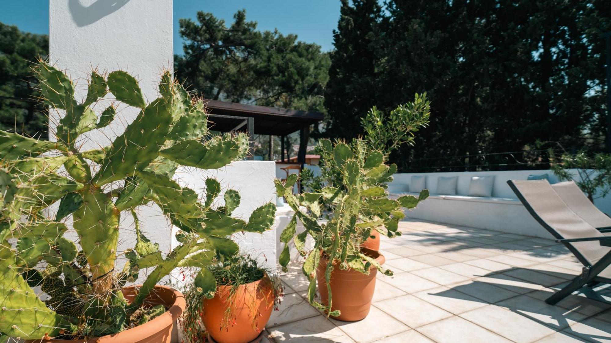 Totelya Hotel Akyaka  Exterior photo